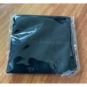 Salvatore Ferragamo Sunglasses Cloth